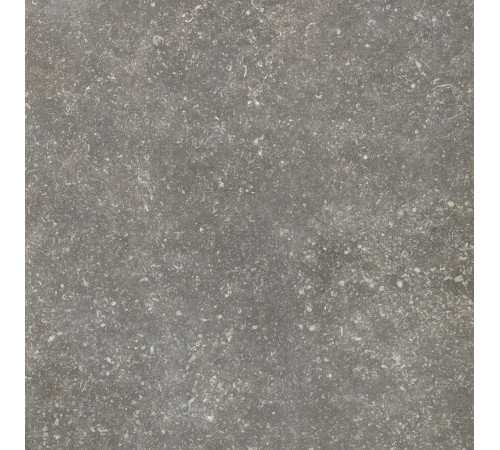 Atmospheres Charme Pat Smooth 60x60