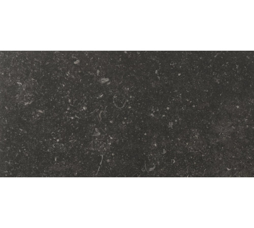 Atmospheres Mister Pat Smooth 30x60