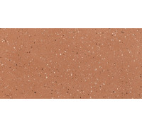 Earthtech Outback Flakes Glossy 9 Mm 60x120
