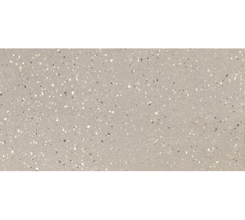 Earthtech Desert Flakes Glossy 9 Mm 60x120