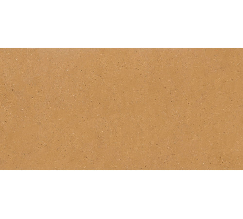 Earthtech Savanah Ground Ptv 9 Mm 60x120