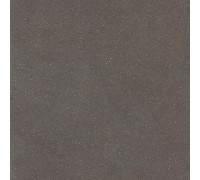 Earthtech Carbon Ground Ptv 9 Mm 60x60