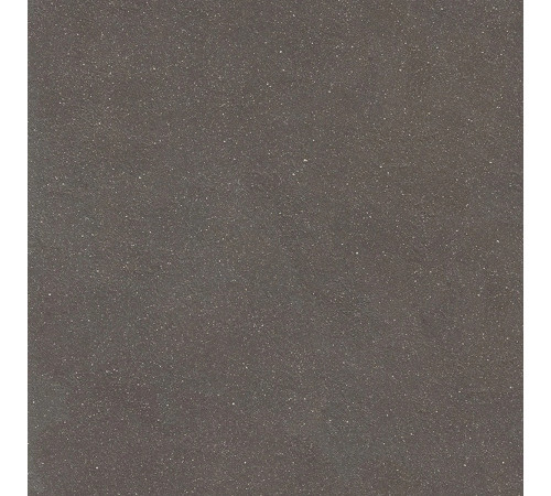 Earthtech Carbon Ground Ptv 9 Mm 60x60