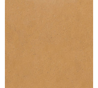 Earthtech Savannah Ground Ptv 9 Mm 60x60