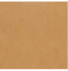 Earthtech Savannah Ground Ptv 9 Mm 60x60