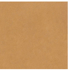 Earthtech Savanah Ground R10b 9 Mm 120x120