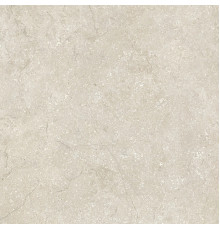 Stone Life Shell 9 Mm 60x60