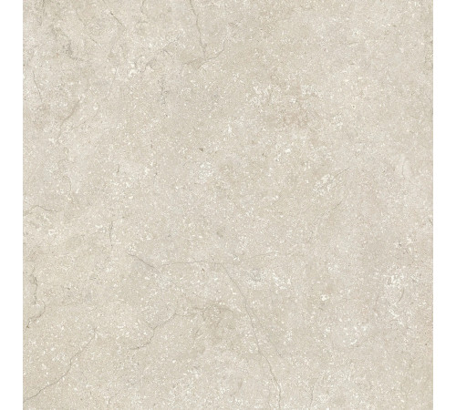 Stone Life Shell 9 Mm 60x60