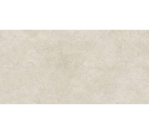 Stone Life Shell 6 Mm 120x240