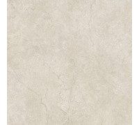 Stone Life Shell 6 Mm 120x120