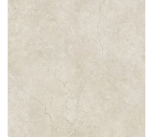 Stone Life Shell 6 Mm 120x120