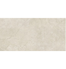 Stone Life Shell 6 Mm 60x120