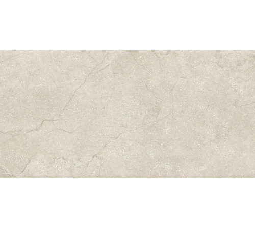Stone Life Shell 6 Mm 60x120