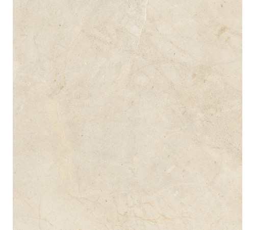 Biotech Crema Stone R+Ptv 9 Mm 120x120