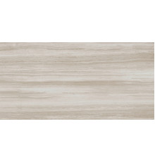 Biotech Stonewood R+Ptv 9 Mm 60x120