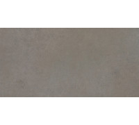 Easy Life Grey Salt Silk Matte 60x120