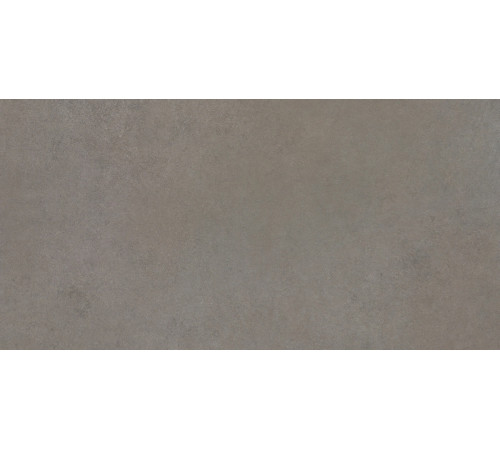 Easy Life Grey Salt Silk Matte 60x120