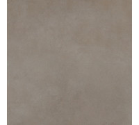 Easy Life Grey Salt Matte 120x120