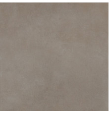 Easy Life Grey Salt Silk Matte 120x120