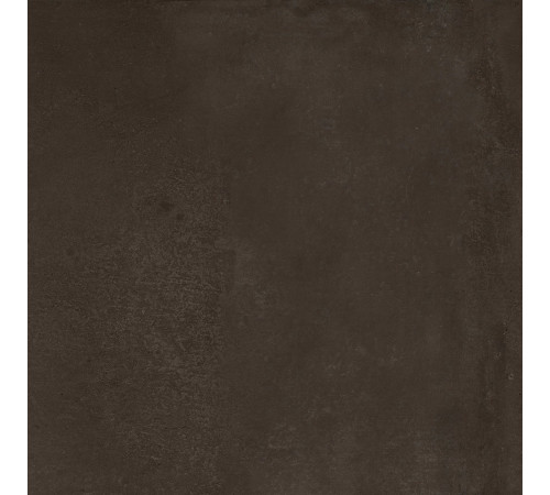 Sensi Terre Carbone Nat 60x60