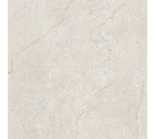 Stone Life Cotton Matte 80x80