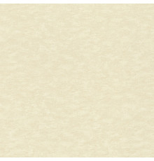 Обои Rasch Настенные Структуры (Wall Textures Xl Iii) 1.06x10.05