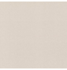 Обои Rasch Gentle Elegance 1.06x10.05