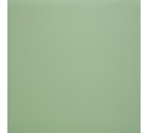 Город Светло-Зеленый 60x60