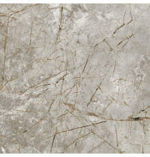Iceberg Grey Lapp. 60x60