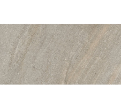 Bereg Grey Beige Matt. 60x120