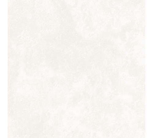 Central Park White Matt. 60x60