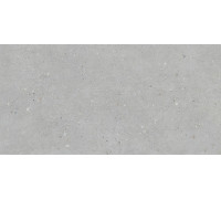 Флэйкцемент Серый Матовый R10a 60x120