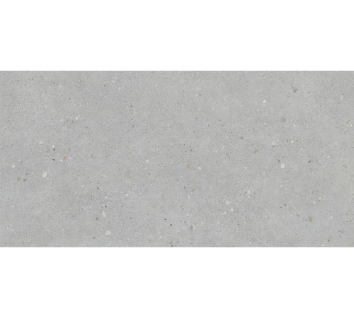 Флэйкцемент Серый Матовый R10a 60x120