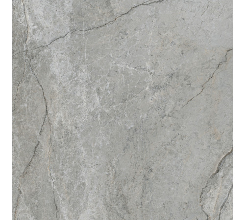 Арктикстоун Серый Матовый R10a 60x60