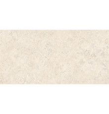 Спастоун Кампосперо Матовый 60x120