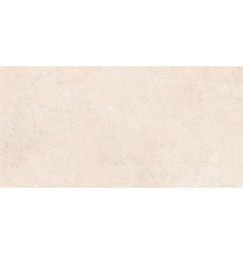 Спастоун Навона Матовый 60x120