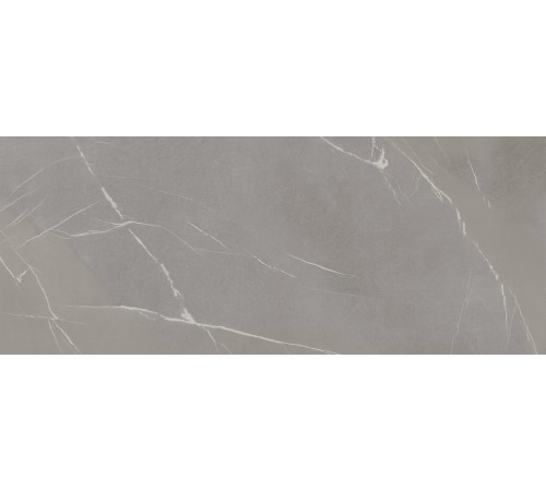 In Side Pietra Piasentina Grigio Fiammato 5.6 Mm 120x300