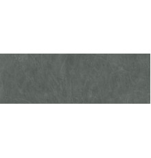 Slate Amazzonia 2+ Mm 100x300