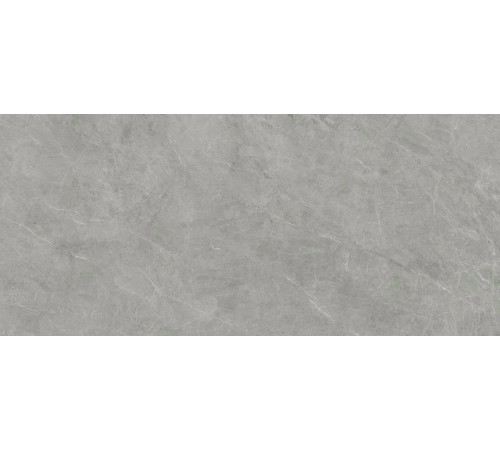 Vonn Grey Ductile 60x120
