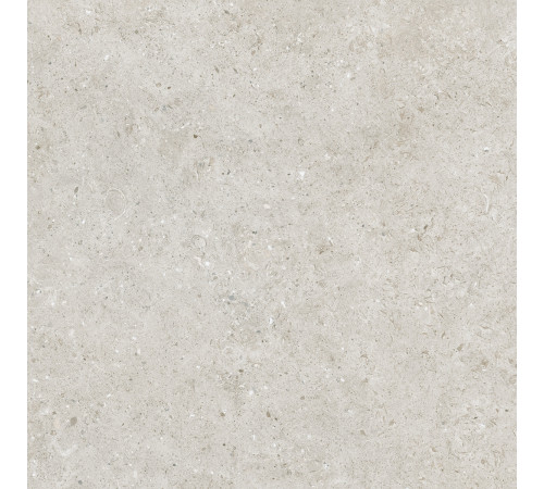 Beren Light Grey Anti-Slip 120x120