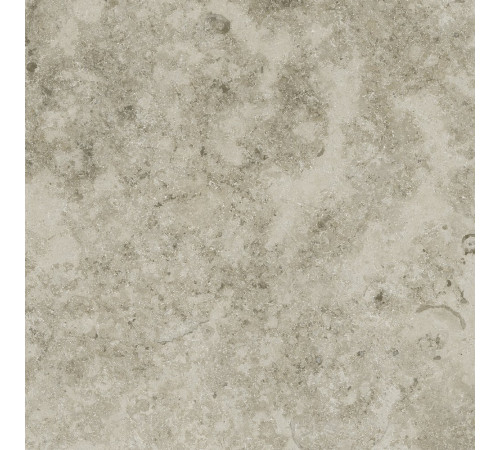 Kendo Classic Honed 60x60