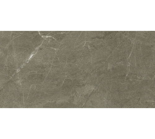 Vonn Greige Honed 30x60