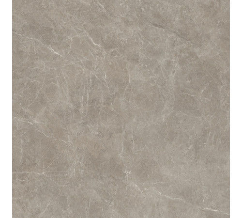 Vonn Greige Honed 120x120