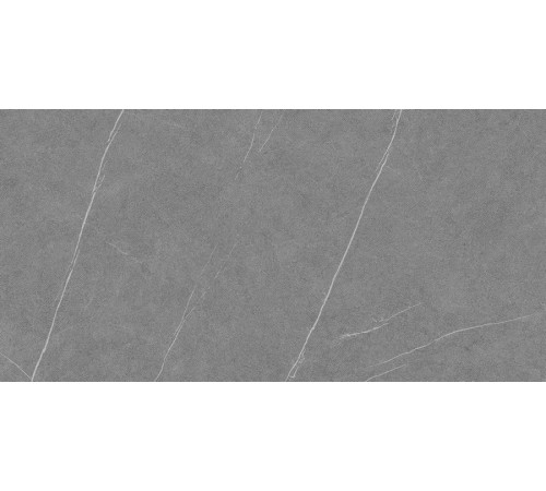 Allure Grey Anti-Slip 60x120