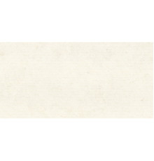 Bera White Land Ductile 60x120