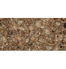 Petrified Wood (Round) (Compound With Granit)
