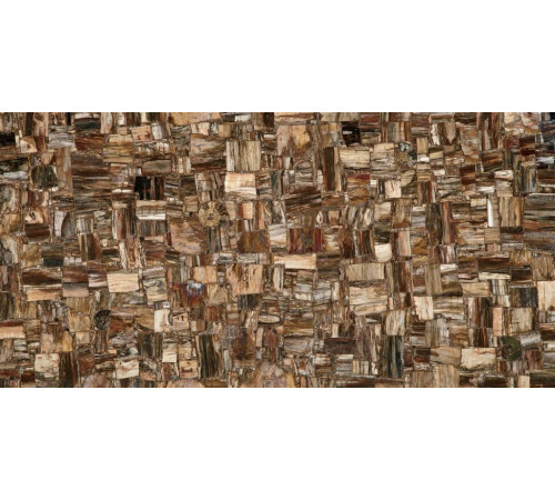 Petrified Wood (Party) (Compound With Granit)