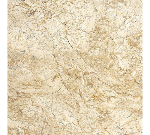 Desert Gold 80x80