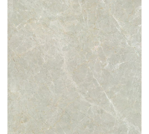 Ivory Beige 80x80