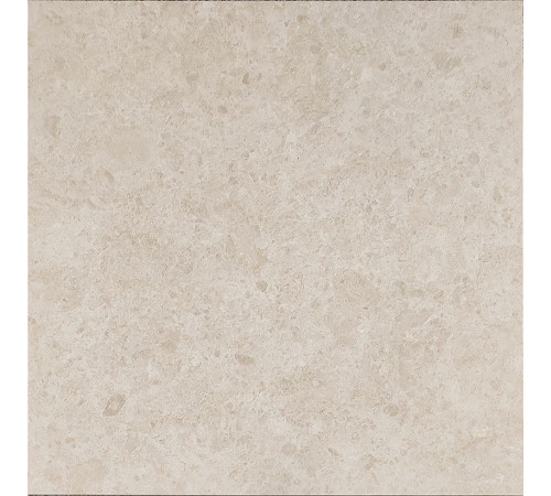 Otman Beige 01 60x60
